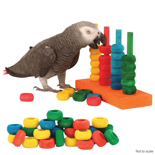 Teacher Toy Activity Parrot Toy and Refill Pack Combo