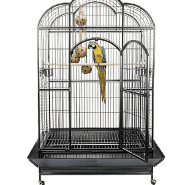 Liberta Atlantis Large Macaw Parrot Cage 