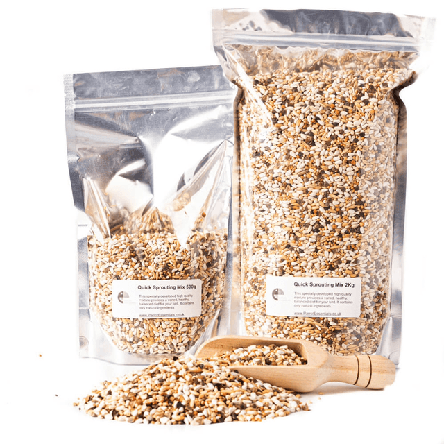 Parrot Essentials Quick Sprouting Mix Food 1KG 